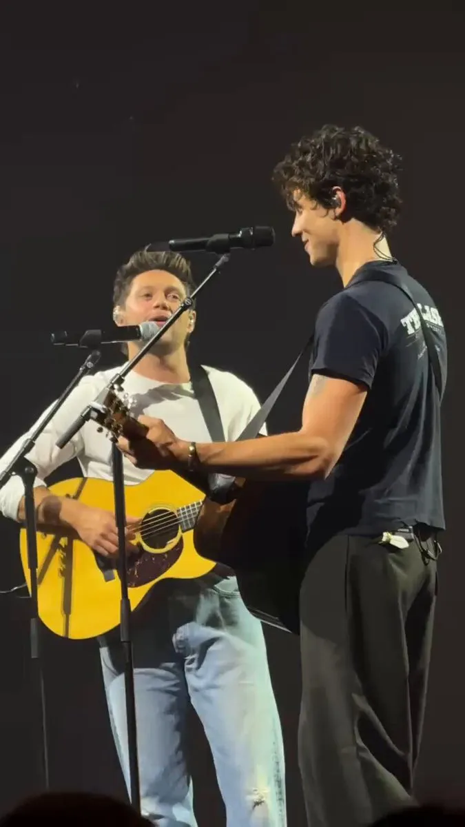 image_68a286e8141ed Shawn Mendes and Niall Horan’s Surprise Onstage Moment Leaves Fans Wondering: Is There More Than Just Music Between Them?