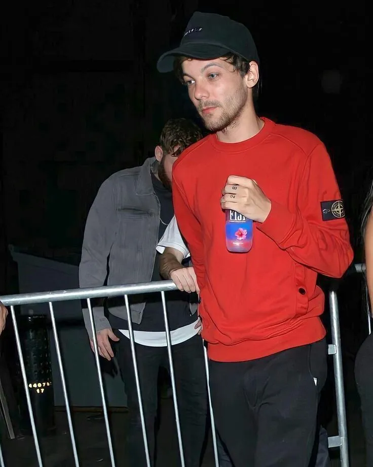 10 Years Later: The Hidden Truth Behind Louis Tomlinson & Liam Payne’s Most Emotional Charity Moments