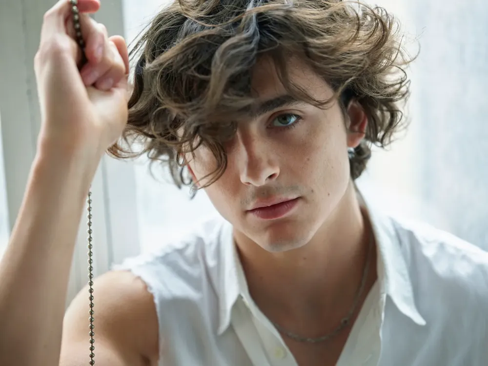 image_68a3ecf7dbb18 Harry Styles is hailed as the rockstar of a new generation… But Timothée Chalamet leaves fans asking: Who is the real modern male icon?