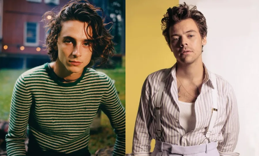 image_68a3ecfa1aadd Harry Styles is hailed as the rockstar of a new generation… But Timothée Chalamet leaves fans asking: Who is the real modern male icon?