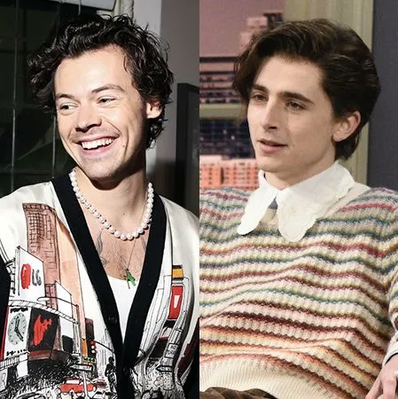Harry Styles is hailed as the rockstar of a new generation… But Timothée Chalamet leaves fans asking: Who is the real modern male icon?
