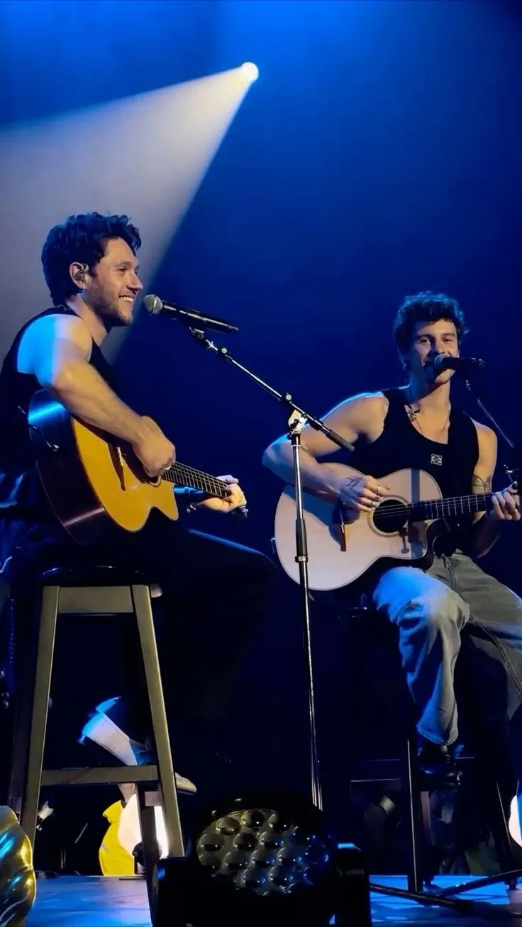 20,000 Fans Sang Along as Shawn Mendes and Niall Horan Shared a Magical Duet — But Minutes Before, the Concert Nearly Crashed in Chaos!