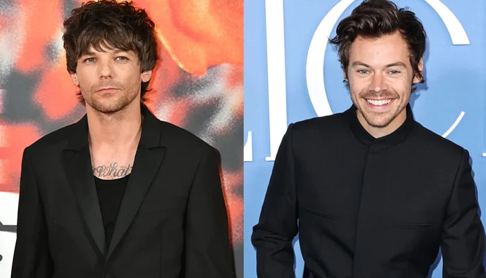 Shocking theory on Harry Styles and Louis Tomlinson
