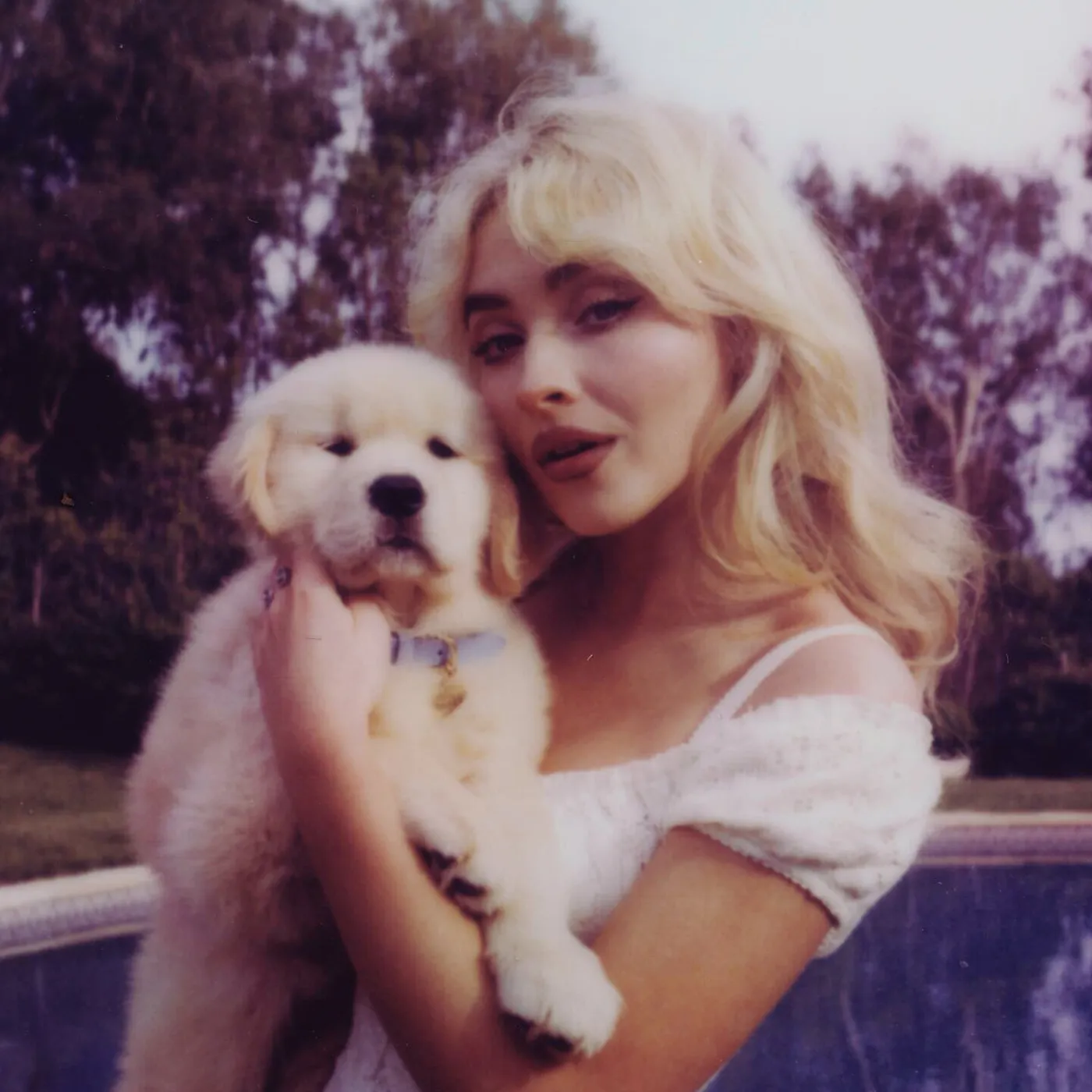 Stop Everything! Sabrina Carpenter’s Dog Walks Are Causing Traffic Chaos