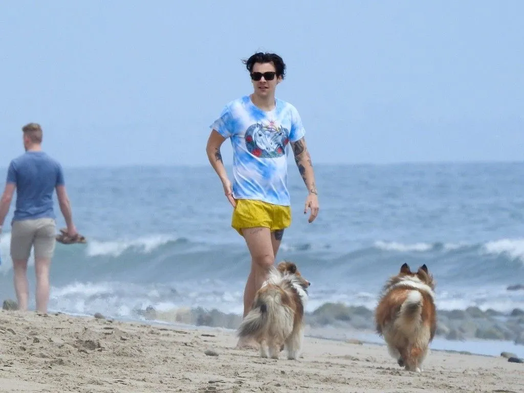 Harry Styles turned a simple ball game into a sunshine-filled moment – But every eye was glued to his tiny yellow shorts next to Kaia Gerber! 19 Harry Styles turned a simple ball game into a sunshine-filled moment – But every eye was glued to his tiny yellow shorts next to Kaia Gerber!