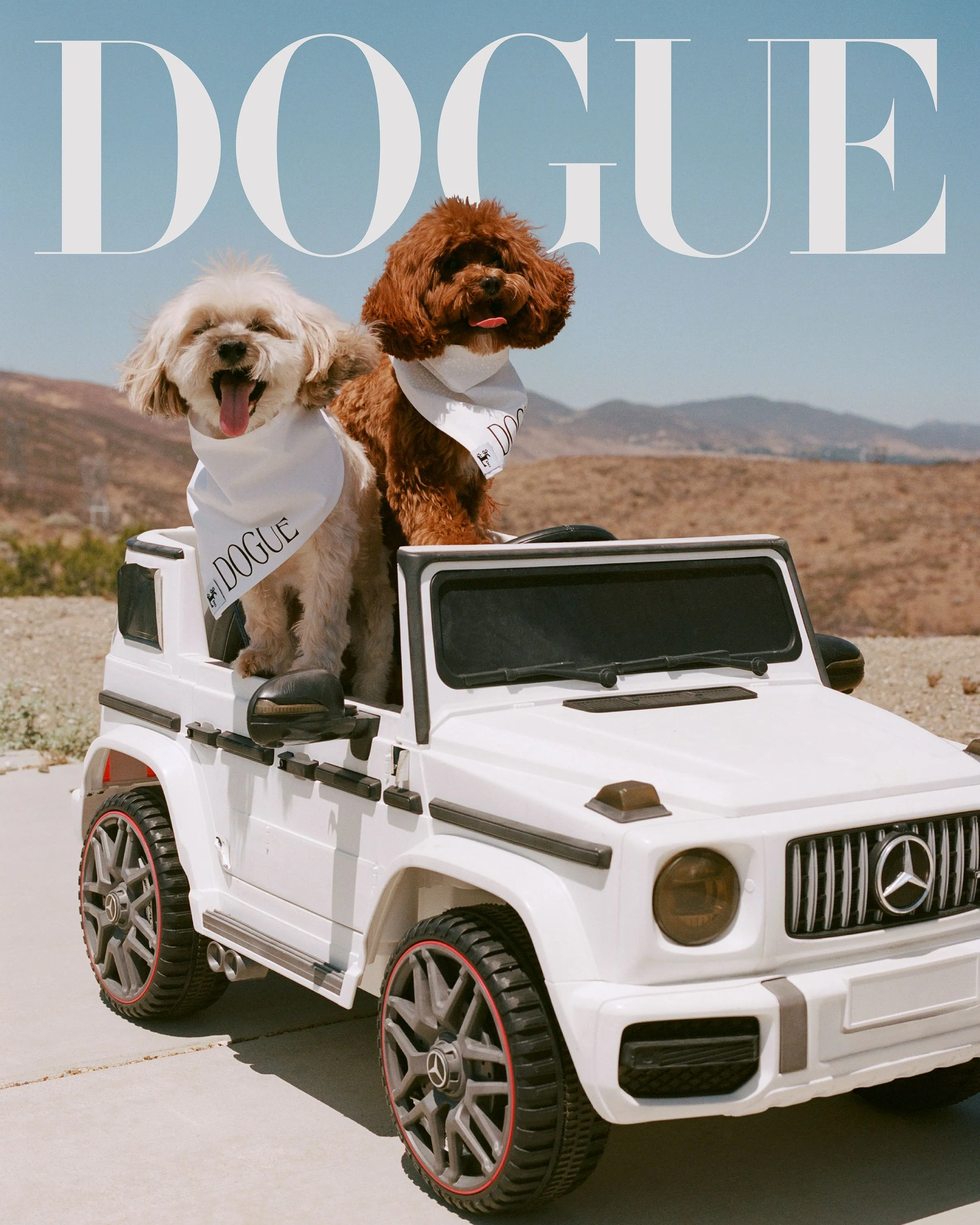 image_68a550f6c38e9 Goodwin and Louie Shine Like Supermodels Beside a Toy Maybach – But Wait Until You Hear Why Sabrina Now Calls One of Them ‘Lucifer’!