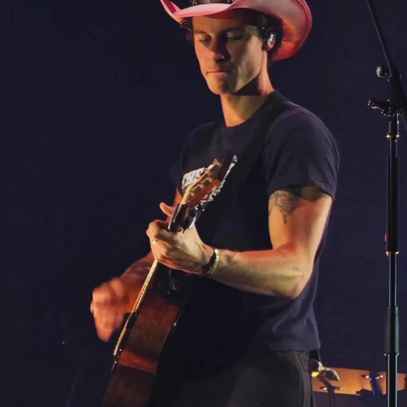 image_68a5576face81 The Backstage Story Shawn Mendes Didn’t Want You To Hear – Lubiana Exposes All!