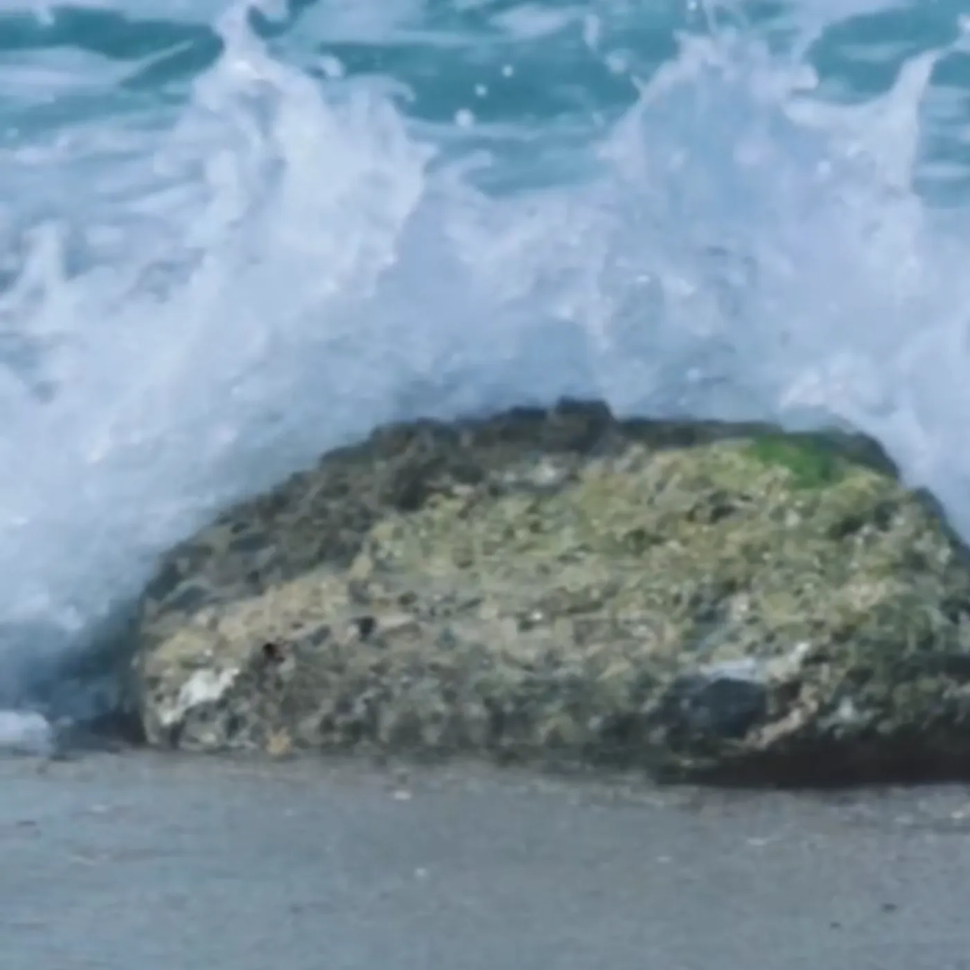 image_68a562b422c19 Rare Moment: Million Dollar DJ Meditates Like a Zen Master - David Guetta's Next Bold Move Will Surprise You