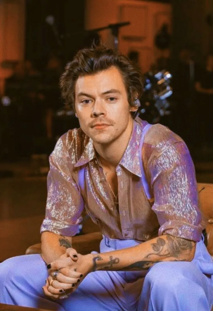 Harry Styles Calls Late Liam His ‘Older Brother’ — Fans Are in Tears After Watching This Emotional Tribute Video