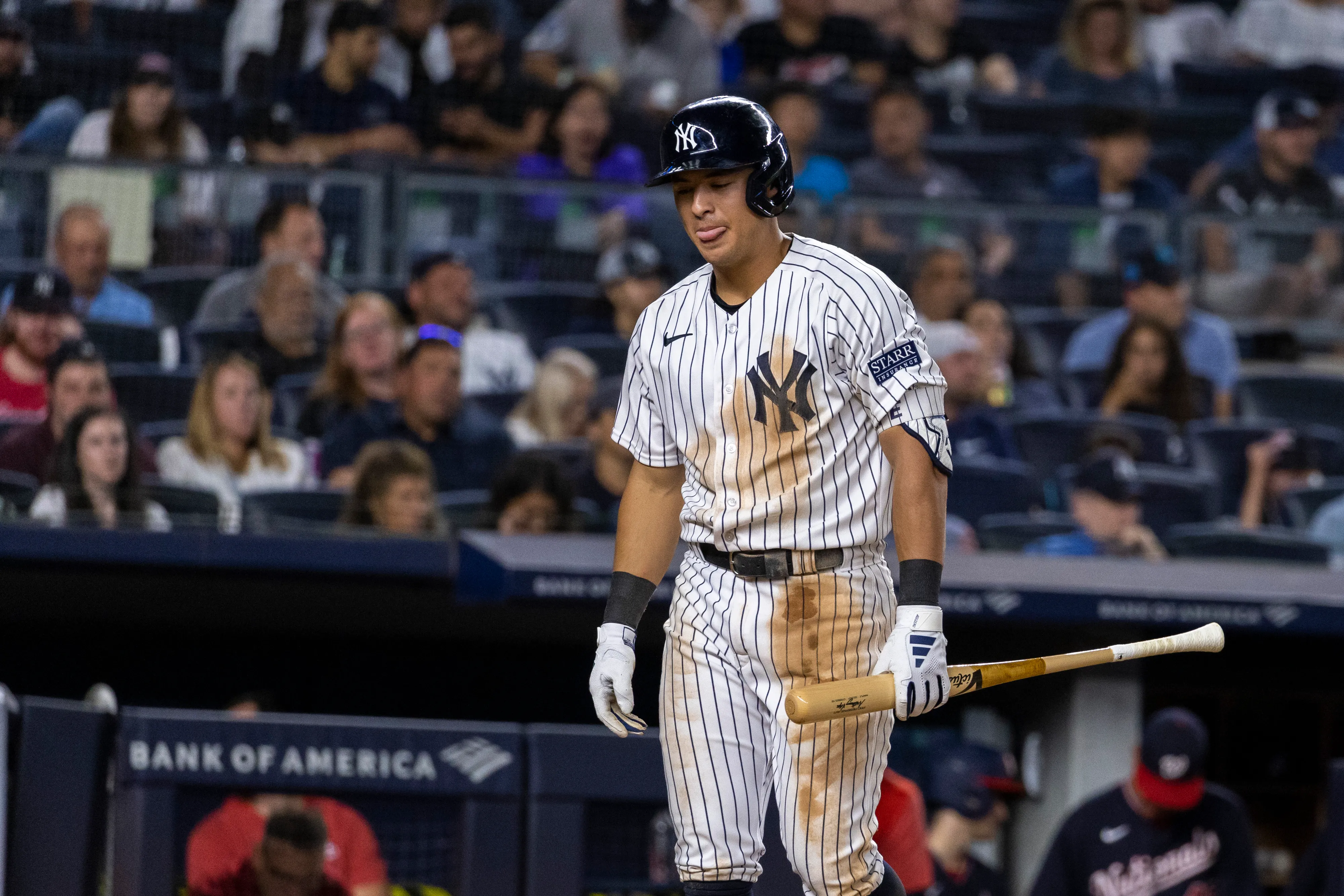 image_68a67cb2a8c6e Anthony Volpe: The Yankees’ Ace and His Impressive Achievements That Keep Opponents on Edge