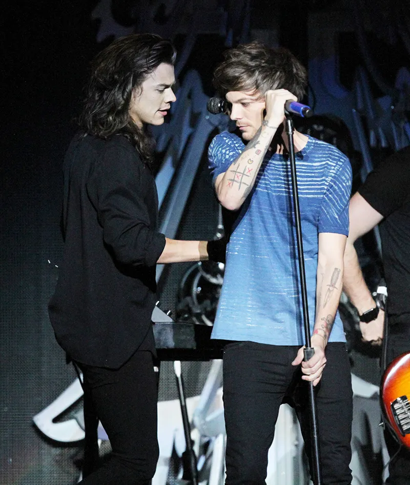 Louis Tomlinson Finally Opens Up About One Direction Glory – But His Secret Jealousy of Harry Styles Changes Everything!