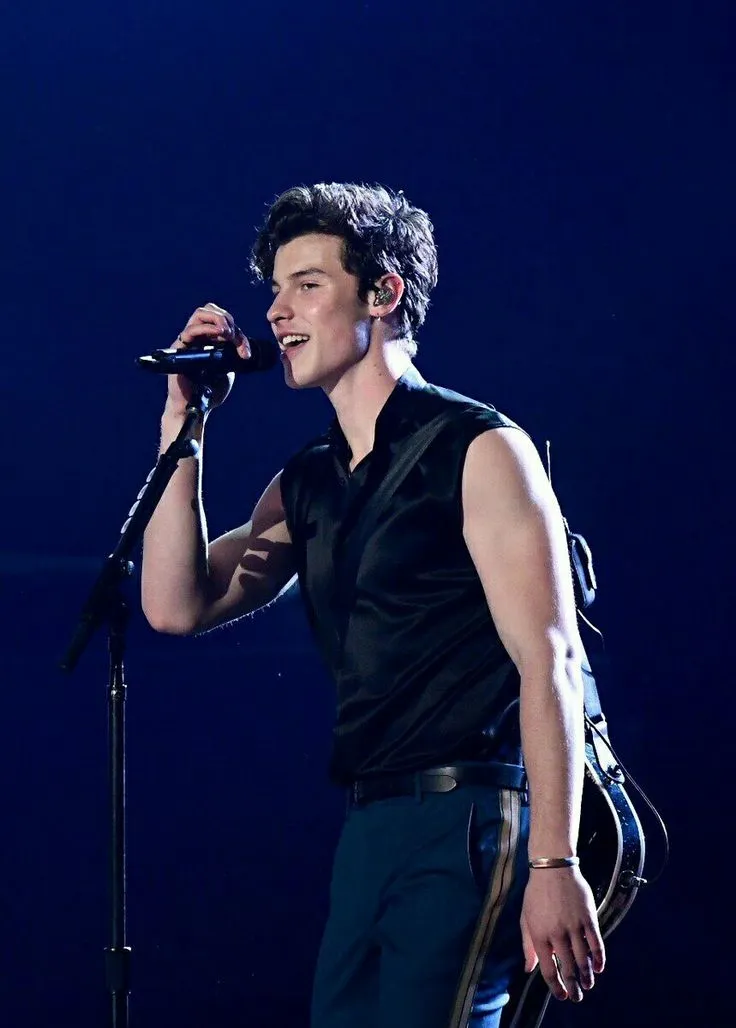 image_68a6a4f98a5cc Shawn Mendes Hits 4 No.1 Billboard Songs Before 20 – But Could the Pressure Turn His Dream into a Nightmare?
