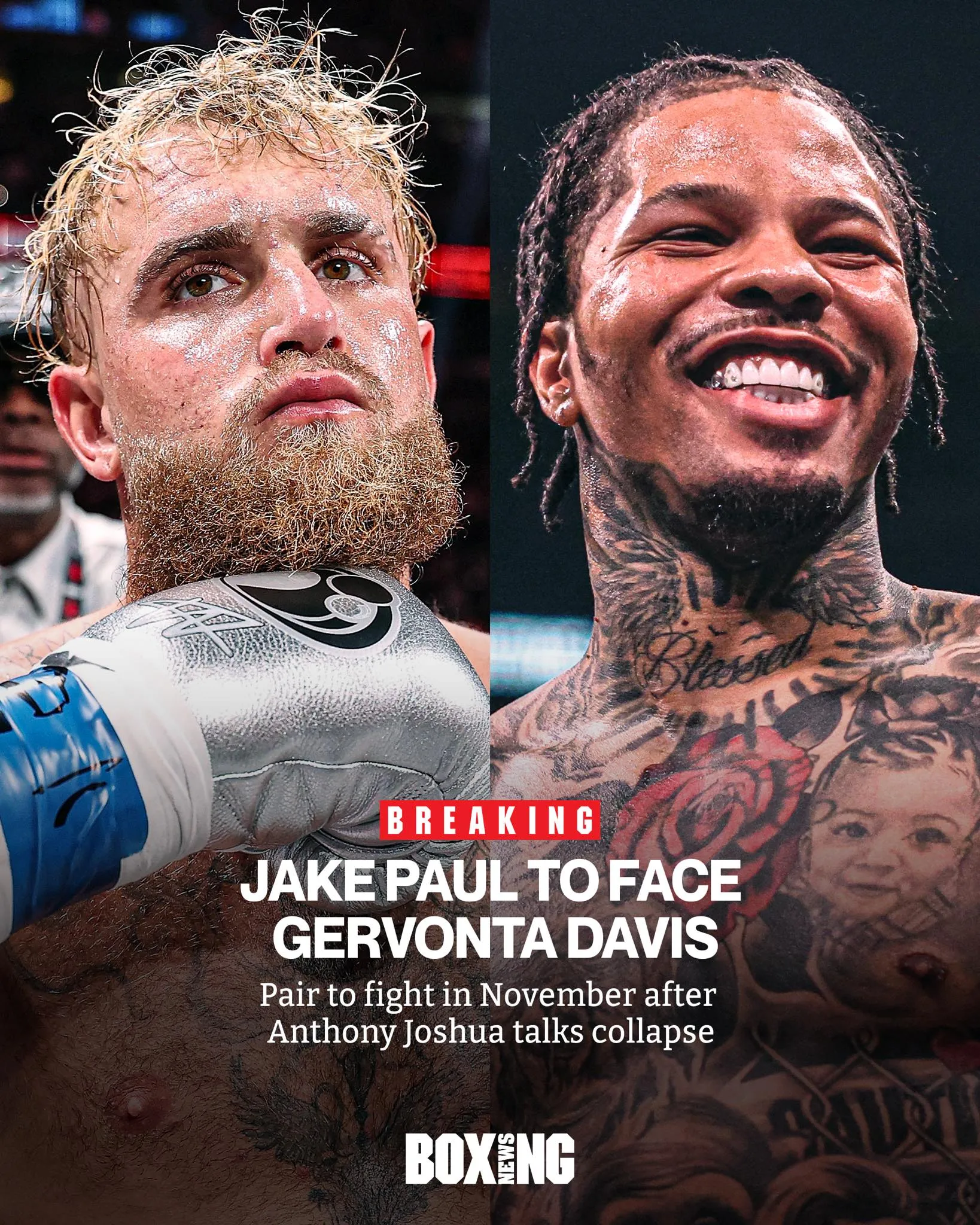 The most lopsided fight in modern history? Elephant vs. Ant – Is the Netflix world pulling a stunt to grab views?