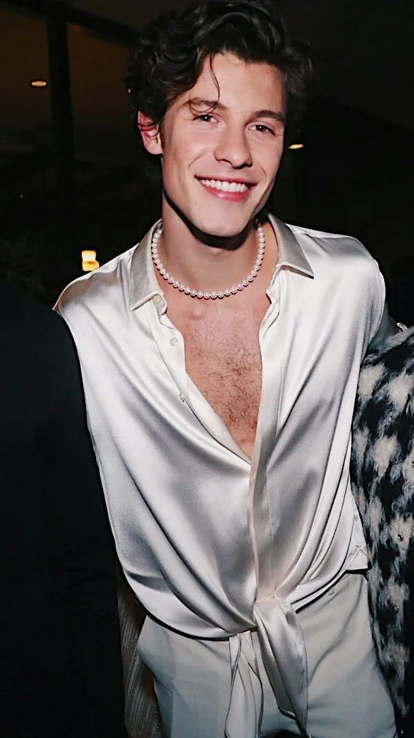 Shawn Mendes’ Hidden Night Revealed — Leaked Party Footage Sparks Frenzy Over Shocking Twist With a Mystery Man