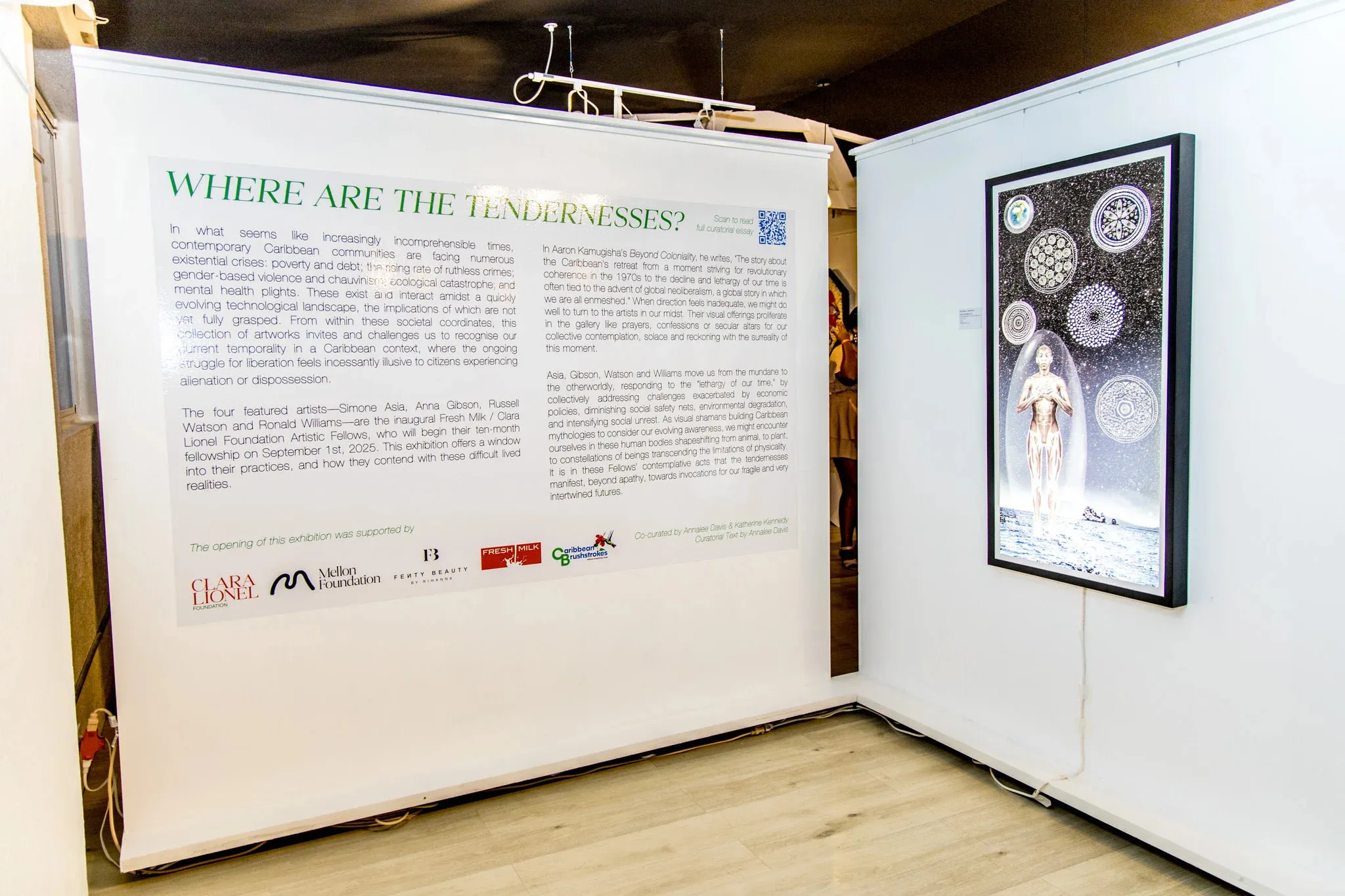 image_68a7df15c9363 Rihanna Just Changed the Game Again — And the Secret Caribbean Art Deal With Mellon Foundation No One Saw Coming