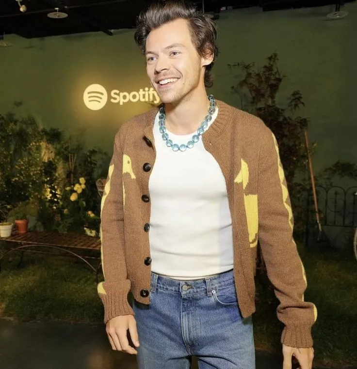 Record Alert! Harry Styles Breaks All Spotify Streaming Records With an Unstoppable Track