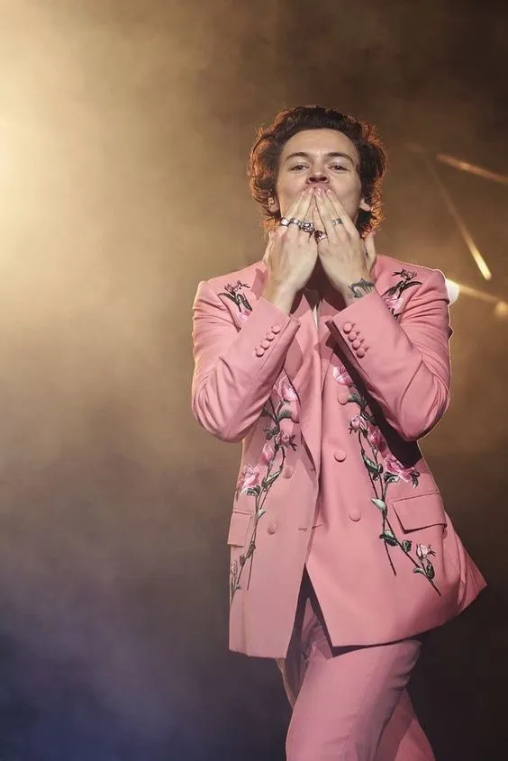 Harry Styles: From His Beaming Schoolboy Smile to Sold-Out Stages – But What Shocks Fans the Most Is His First Girlfriend!