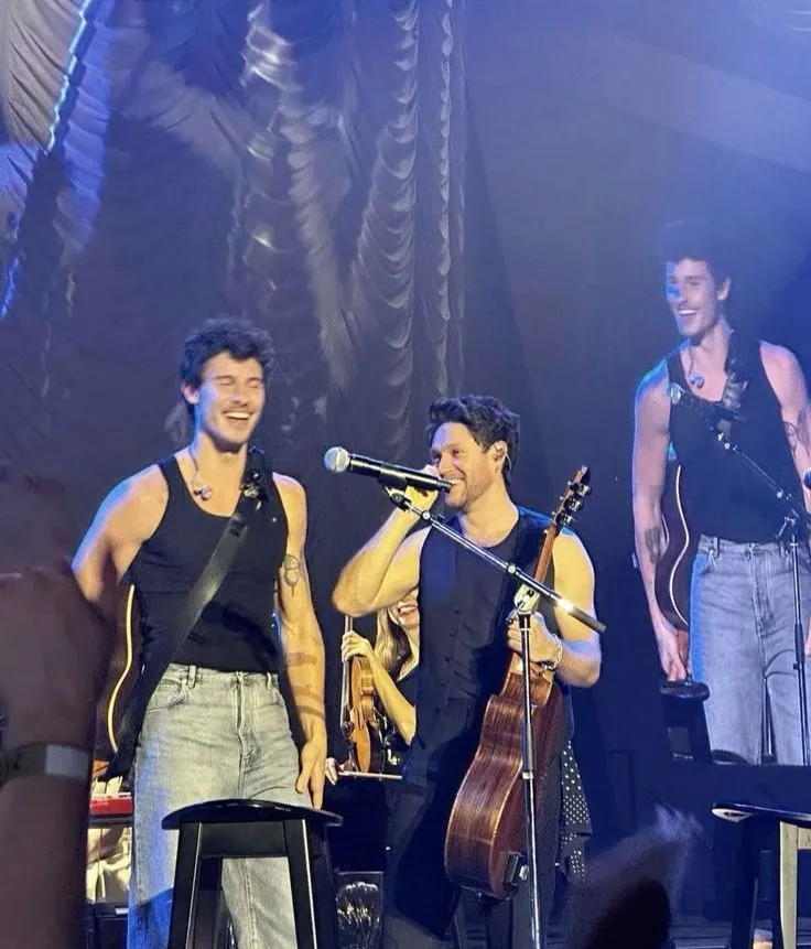 image_68a93134d6fad Shawn Mendes and Niall Horan: Fans Went Wild for Their Acoustic Duet – But the Secret Behind Their Friendship Will Shock You!