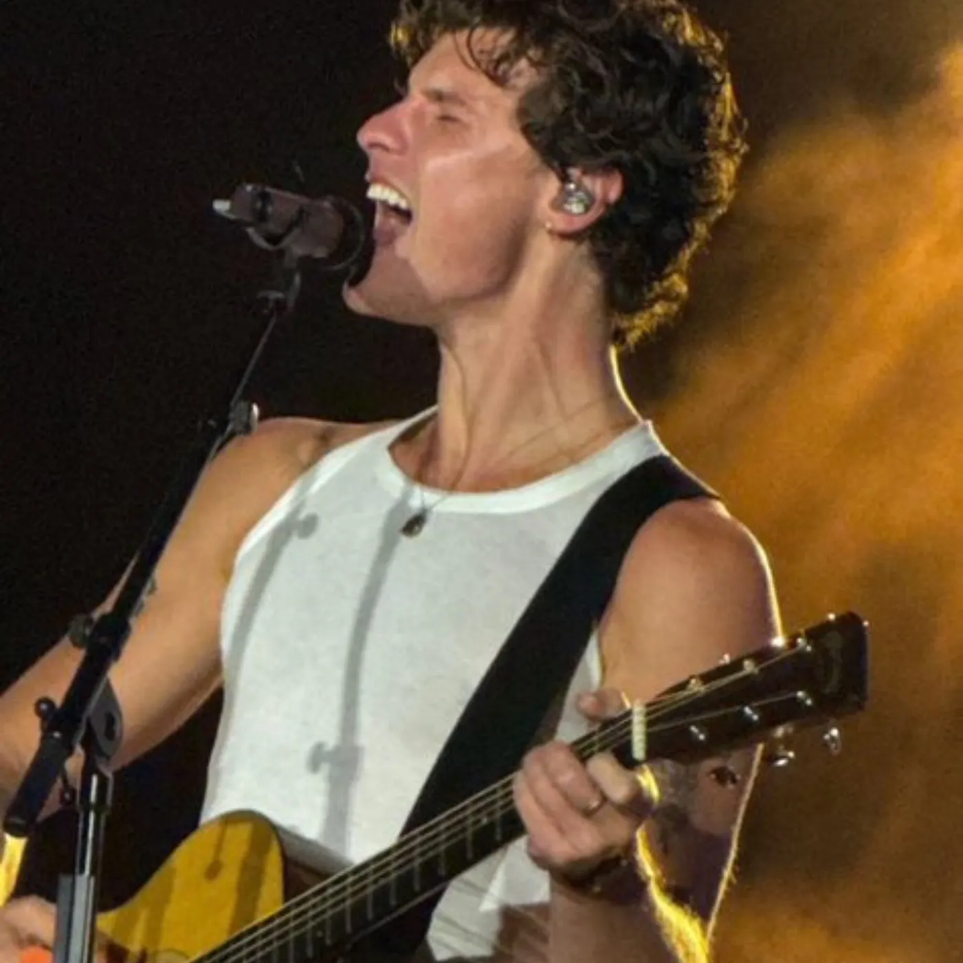 image_68a9eccadeff5 Zurich Crowd DROWNS Shawn Mendes in Gifts — His Reaction Says It All