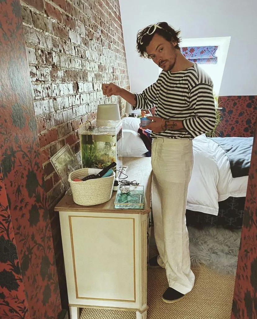 Harry Styles Is About to Break Ground on His Dream Mega-Mansion — But the Project’s Cost Has Shocked!