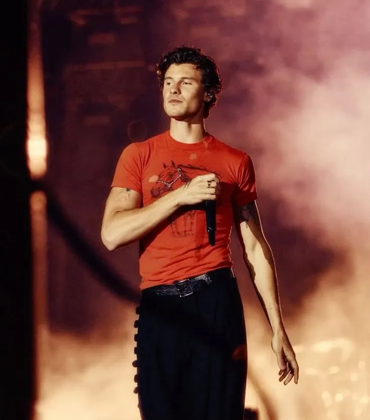 image_68ab284157509 Shawn Mendes Makes a Powerful Comeback with His Album 'SHAWN' – But the Reason Behind His Growth Will Shock Fans