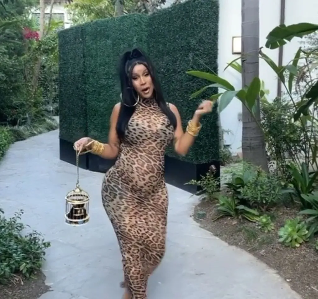 image_68ac2595d56fe Cardi B Shatters Silence With Explosive Viral Video — Fans Can’t Stop Talking About Her Shocking Pregnancy Buzz