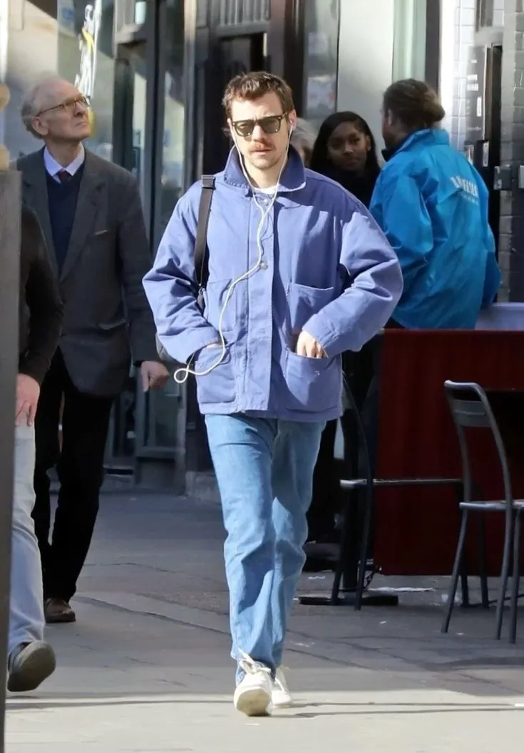 Harry Styles Seen Arm-in-Arm With Zoë Kravitz — But Fans Say Taylor Russell May Have Changed Him Forever