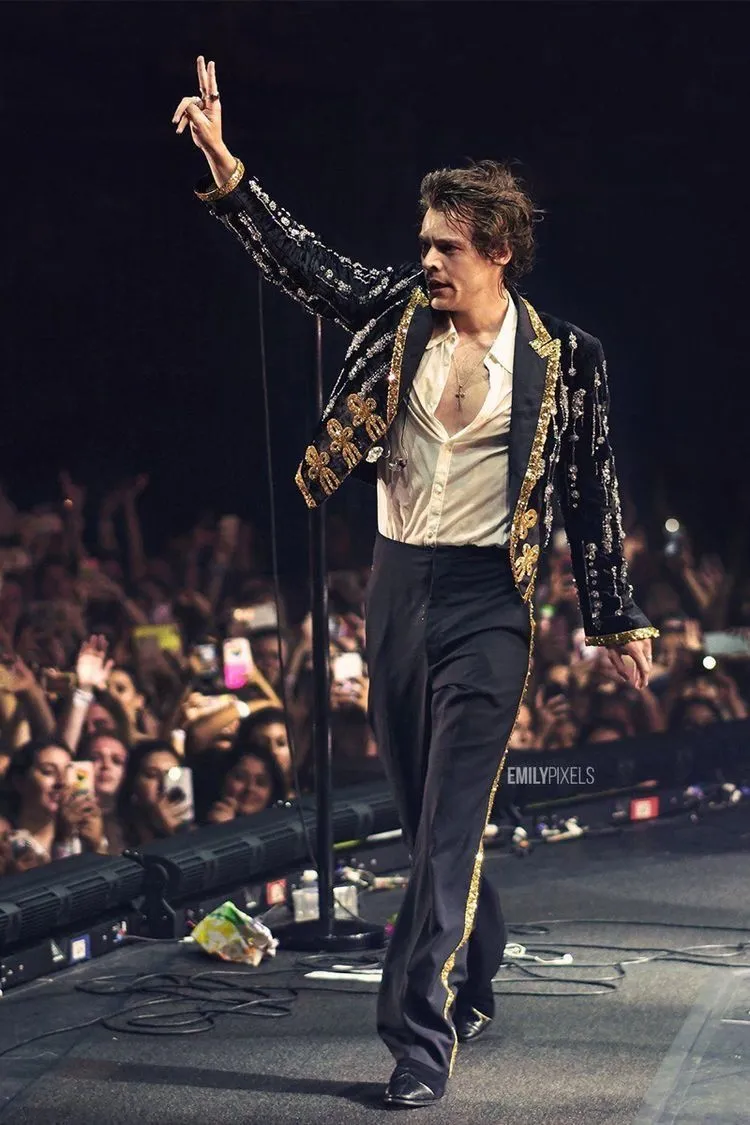 Harry Styles Donates All the Revenue from Two Shows to Charity – But His ‘Crazy’ Move with a Lock of Hair Leaves Fans Stunned!