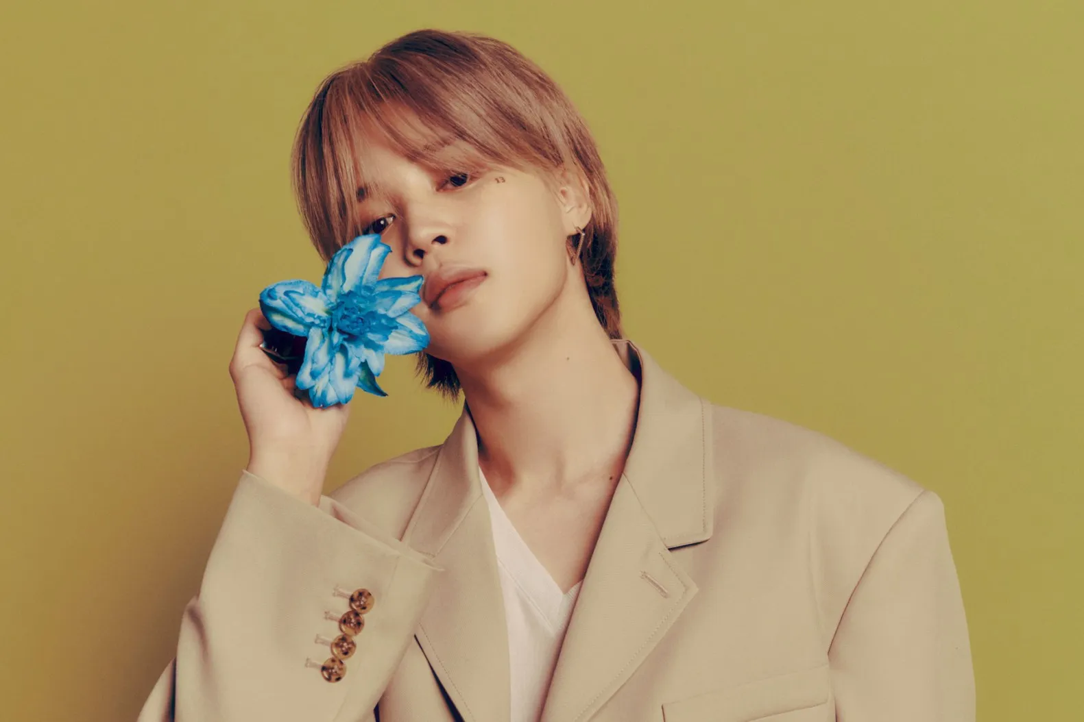 image_68ae757b86a76 Song Da Eun posted a video of herself and BTS’s Jimin dating at her private home and claimed that Jimin was the one who pursued her first