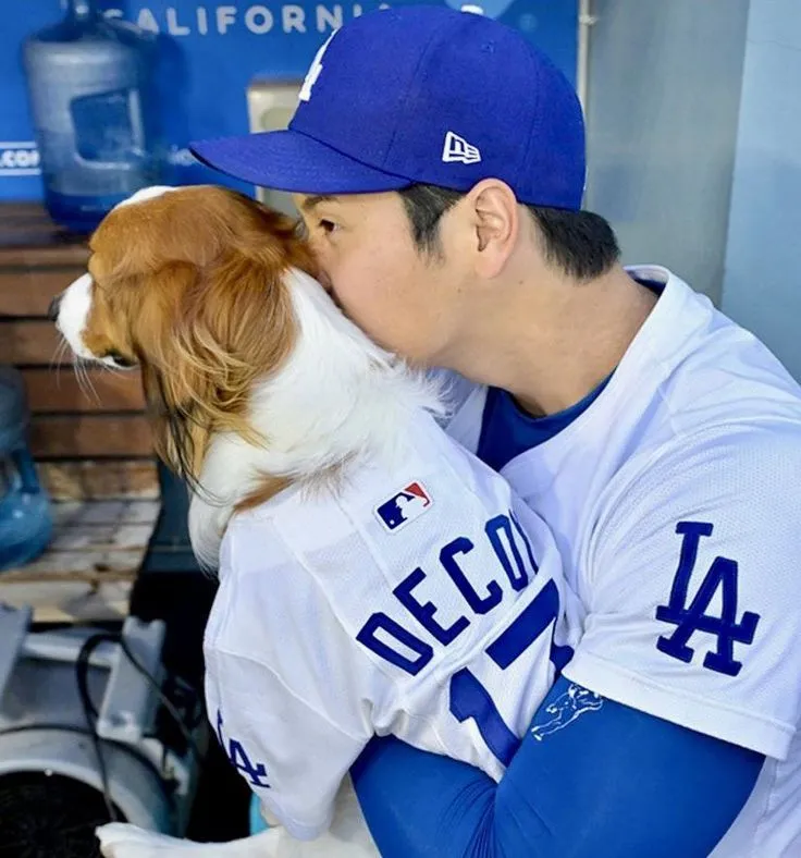 image_68ae8be4a10b9 Shohei Ohtani’s Dog Steals the Spotlight — and Another Pup’s Jealous Reaction in This Ad Has Fans Cracking Up