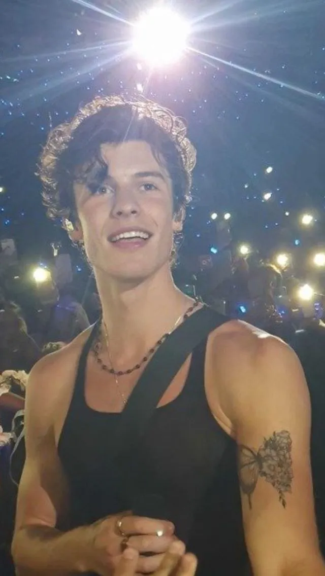 From 6-Second Vine Videos to the Global Stage — Shawn Mendes Has Become a Pop Icon with His Worldwide Tour!