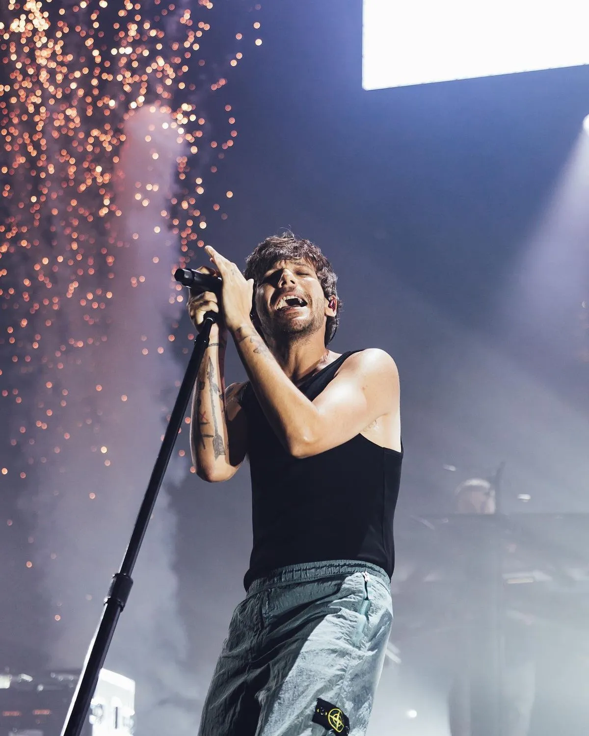 Away From Home Festival: Louis Paves the Way for New Talent – But Is He Abandoning His Former Band One Direction?