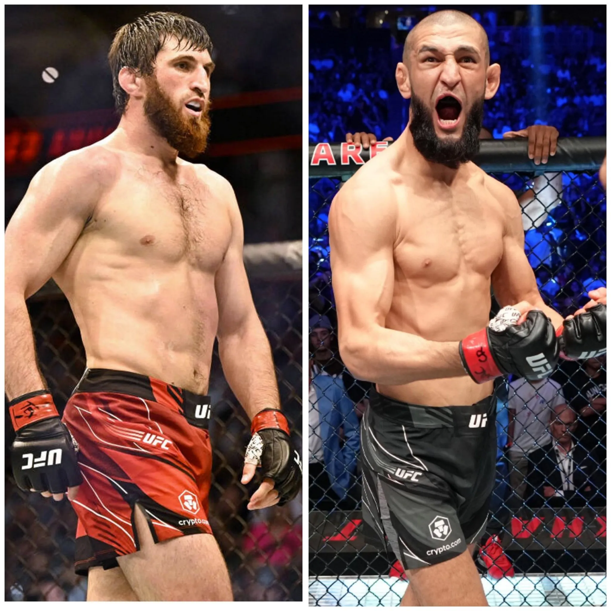 image_68aeb58cc1ebd Ankalaev Challenges Chimaev to Step Into His Division: “No Problem”