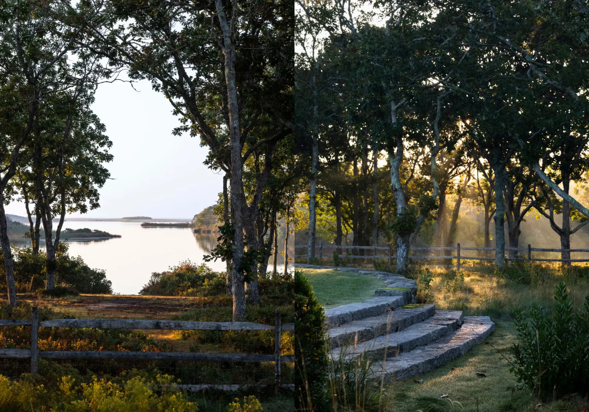 Are you curious a coastal garden New England looks like after 12 years Making? 19 Are you curious a coastal garden New England looks like after 12 years Making?