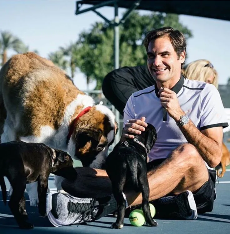 Roger Federer Stuns Fans With Emotional Pledge: Every Dollar of His Retirement Is Going to Save Abandoned Dogs