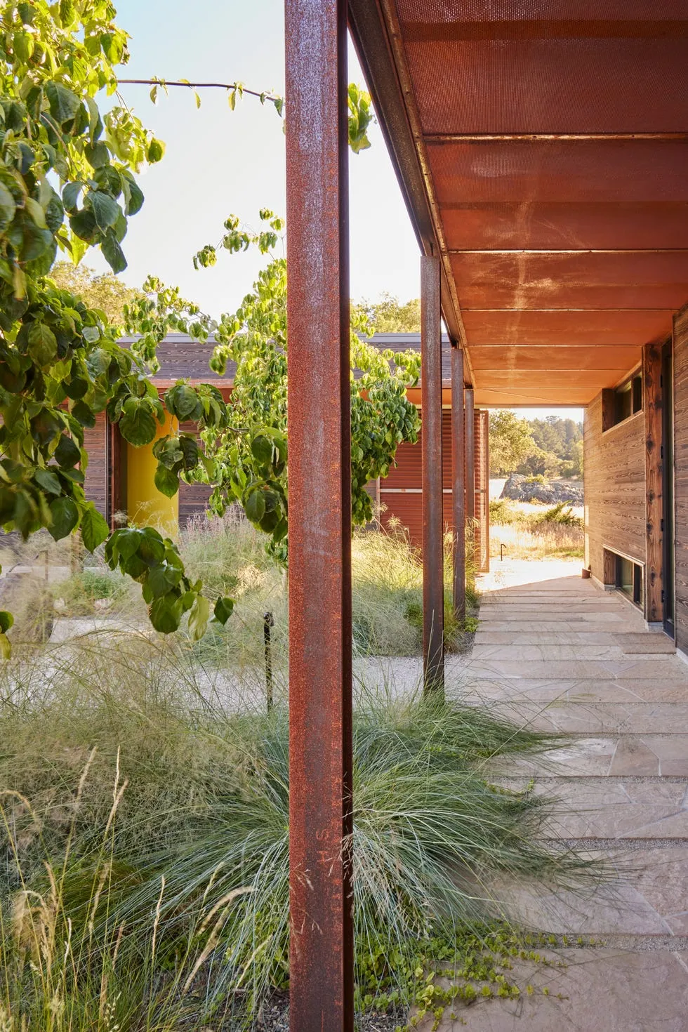 image_68b171ce31d2d Why Landscape Designers Are Choosing Native Plants and How You Can Too