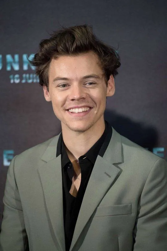Harry Styles’ Jaw-Dropping £30M Renovation Project Leaves Fans Stunned — What He’s Building Will Shock You