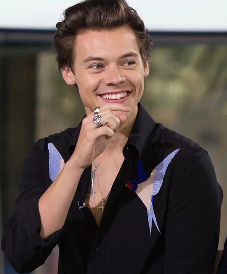 Harry Styles’ Fine Line Hid a Dark Fear — After Camille Rowe, Did He Believe in Love Again?