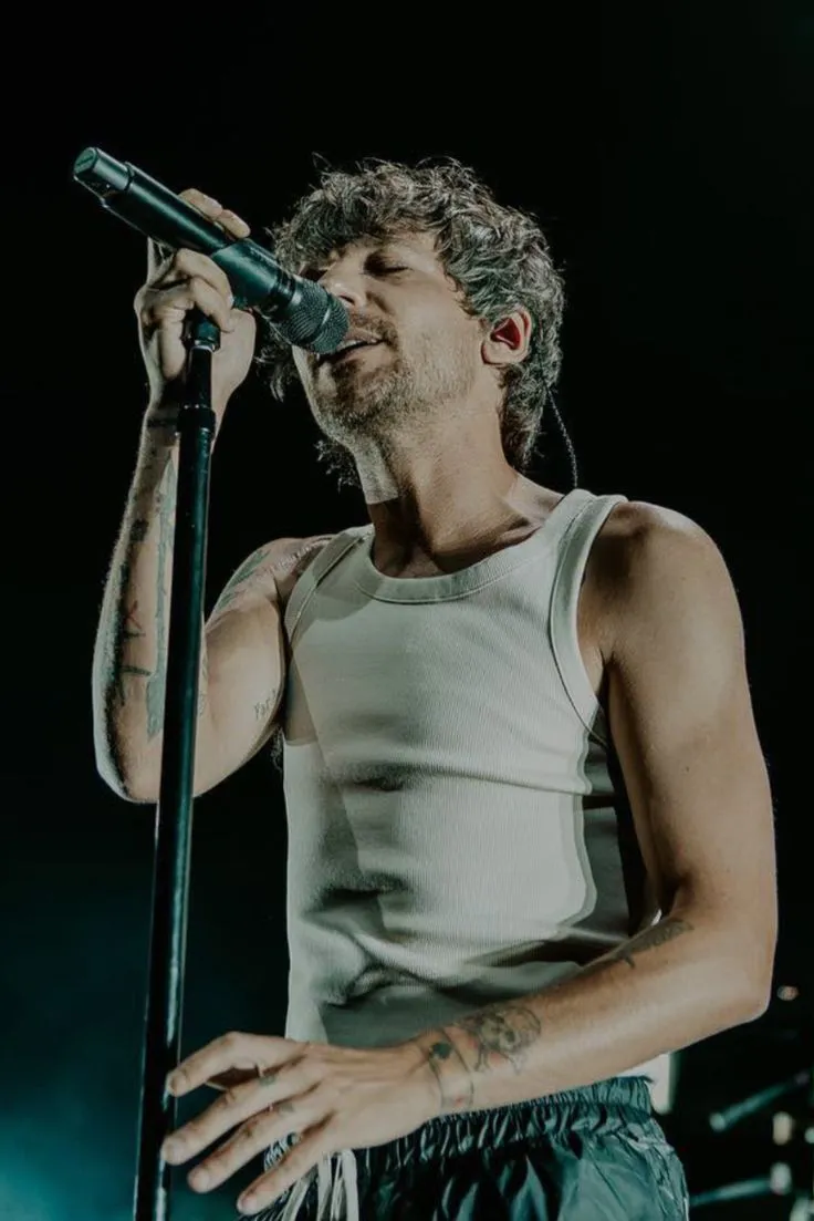 image_68b5b3f77e61f Louis Tomlinson voluntarily steps back from X – Has fan pressure finally broken him?