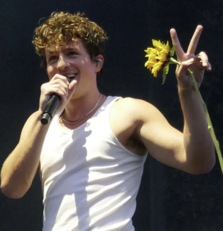 Charlie Puth’s TikTok ‘Changes’ Goes Viral – But Fans Discover a Detail That Could Change the Entire Album