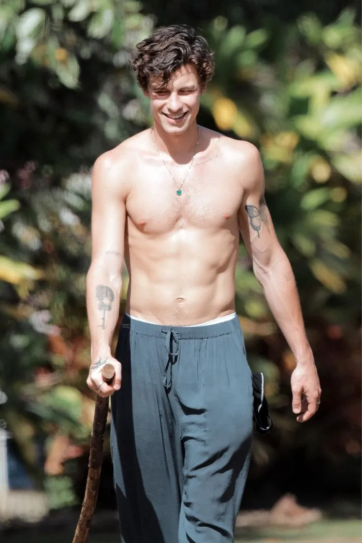 image_68b7b3c0615b6 Shawn Mendes’ Natural Hair and Meaningful Tattoos – But One ‘Secret’ Has the Entire Internet in an Uproar!