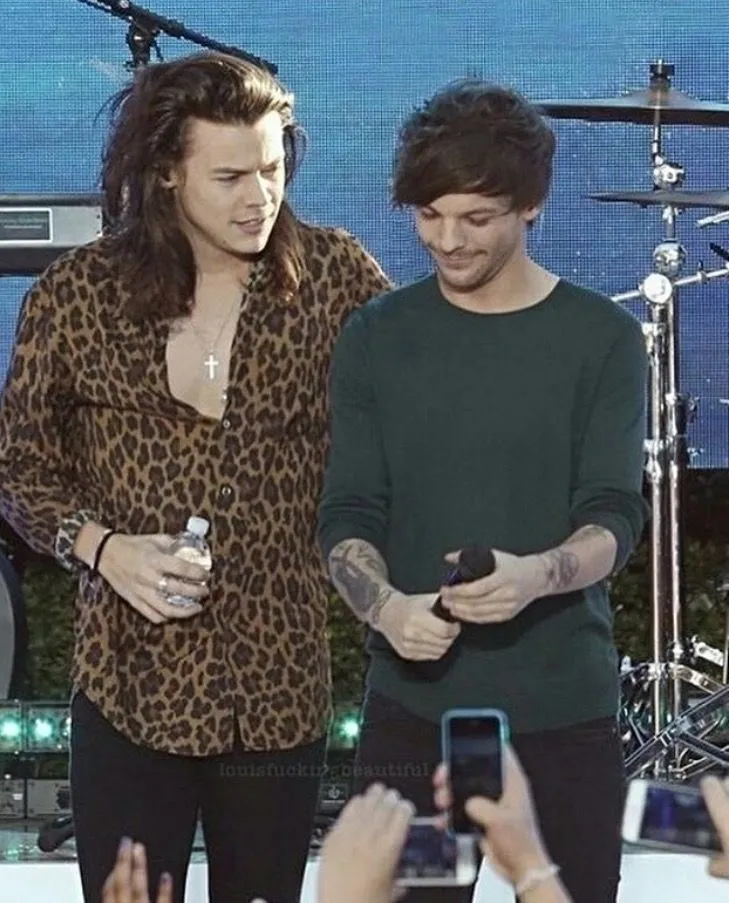 image_68b7c4107bd0e Louis Tomlinson Proud of Harry Styles’ Success – But Has Their ‘Bromance’ Truly Survived All the Tensions Within One Direction?