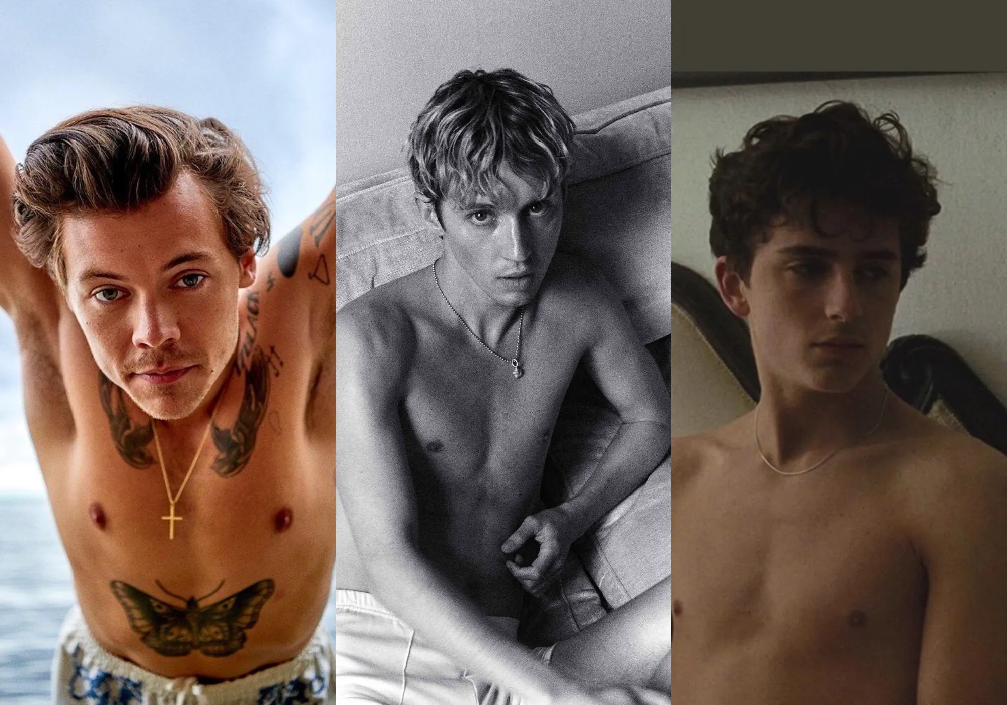 Troye Sivan and His Two Dream Crushes, Harry Styles and Timothée Chalamet, Whom He Could Never Have