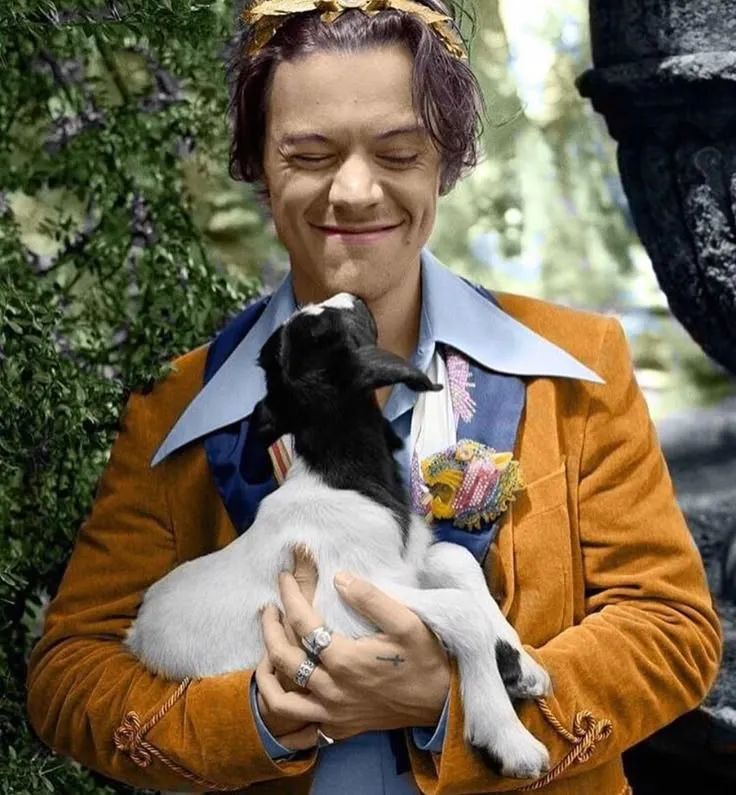 image_68b7f168e750e Harry Styles Spreads Love for the Environment – But Fans Are Shocked to Discover What Lies Behind His $6.5 Million Donations