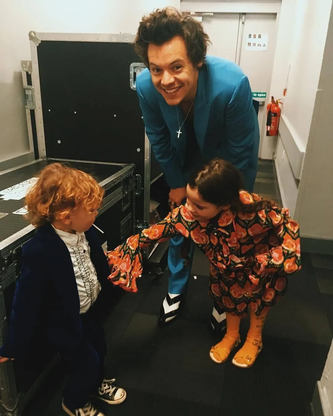 Harry Styles Spreads Love for the Environment – But Fans Are Shocked to Discover What Lies Behind His $6.5 Million Donations