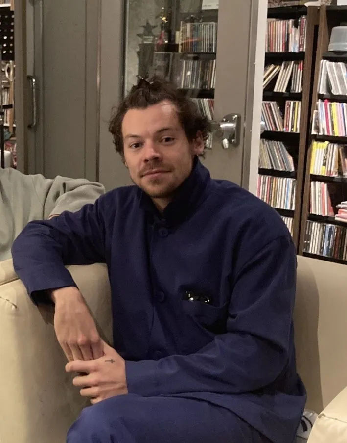 Inside Harry Styles’ Jaw-Dropping Move: Why He Just Snapped Up His Fourth Multi-Million London Mansion