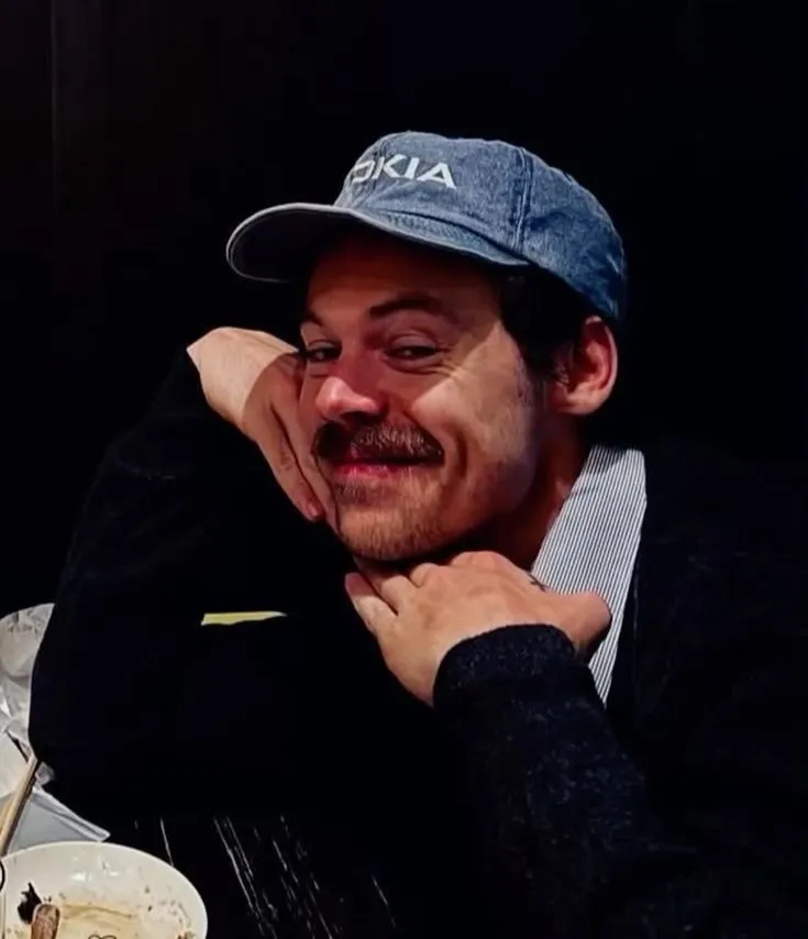 Harry Styles Sparks Buzz After Casual Hangout With Local Baristas on Malahide’s New Street