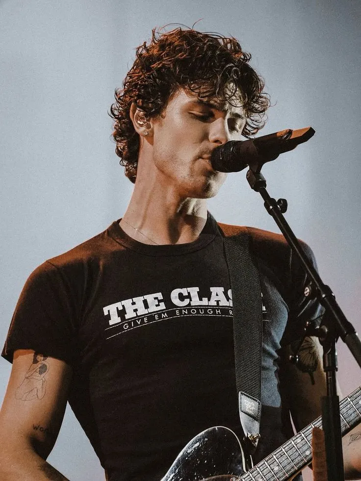 Shawn Mendes Praised as a Rare Star With Morals in an Industry Drowning in Hate