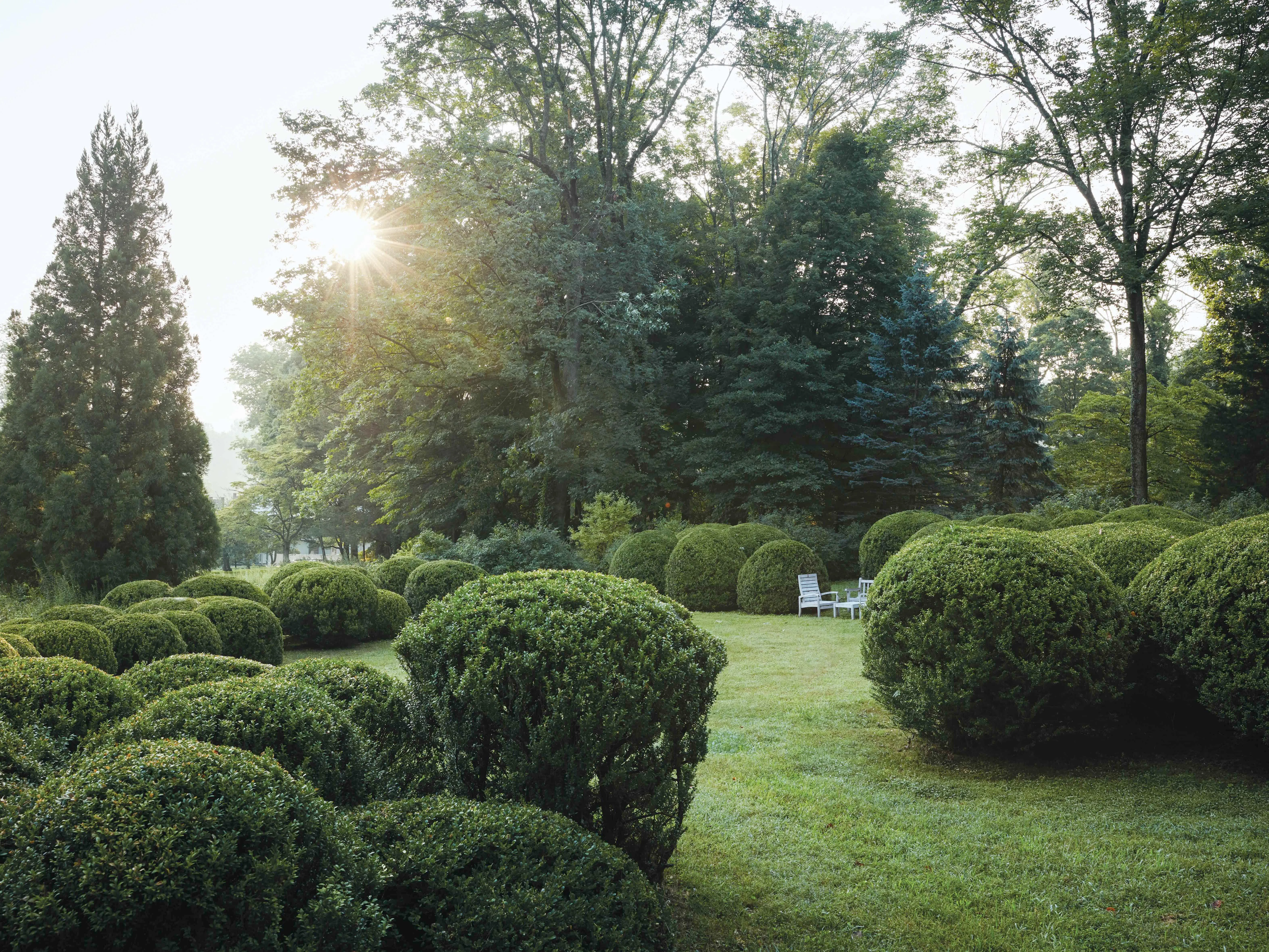 image_68b95af4321fe Janet Mavec’s 30-Year Journey Restoring a Historic New Jersey Garden