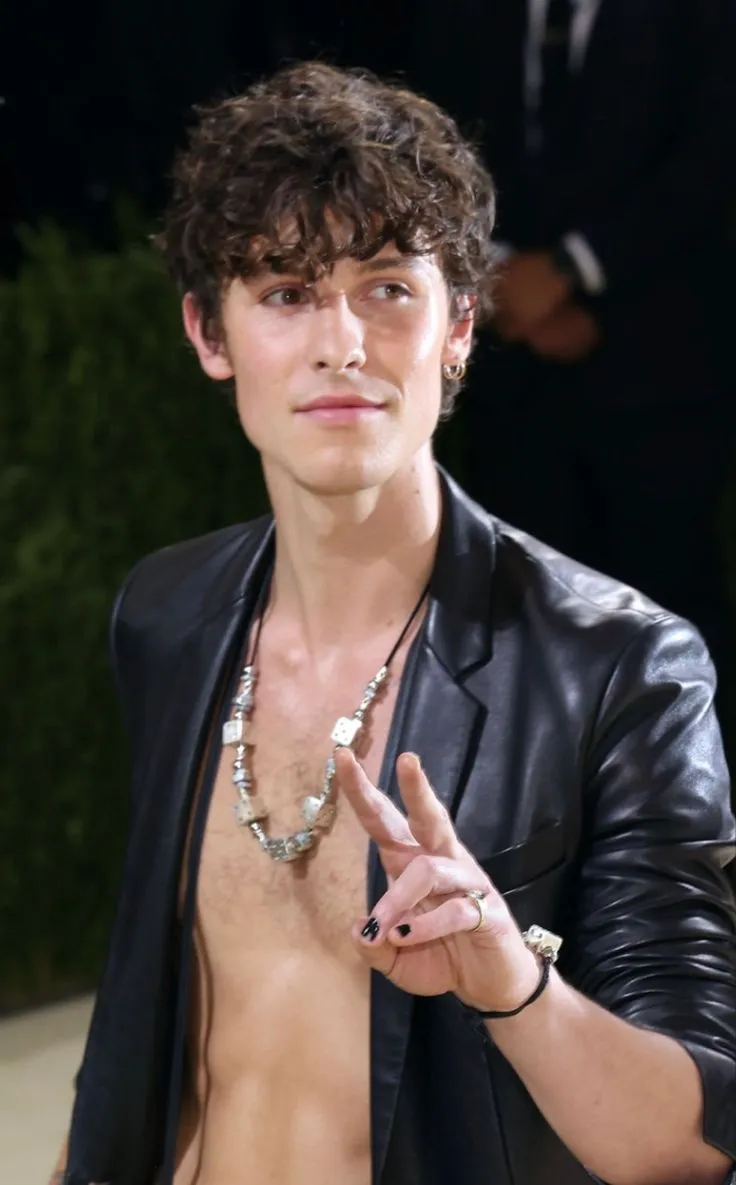 image_68ba86dfd8df3 Shawn Mendes Finally Speaks Up - Admits He Regrets Not Speaking About Palestine Sooner, But Fans Are Shocked by the Mixed Reactions Online!